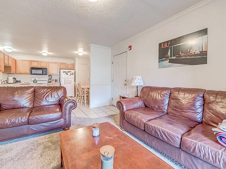 543 N University Ave #305 — Photo 5