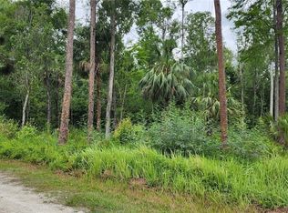Shelley Trl, Kissimmee, FL 34747