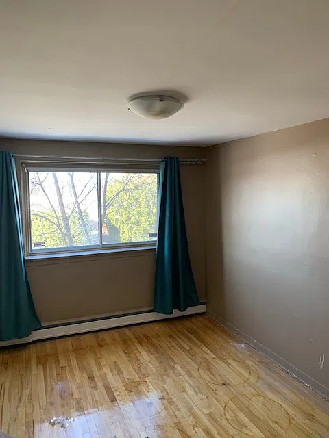 1 bed, 750 sqft, $1,549 — Photo 4