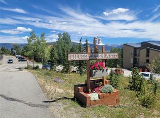 7212 Ryan Gulch Rd #102, Silverthorne, CO 80498