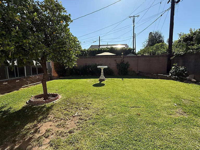 Spacious Back Yard