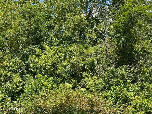 0 Rifle Range Dr, Knoxville, TN 37918
