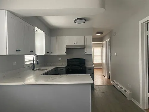 2935 N Damen Ave Photo 1