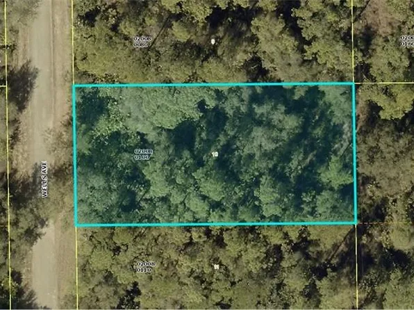 2004 WELLS AVE, ALVA, FL 33920