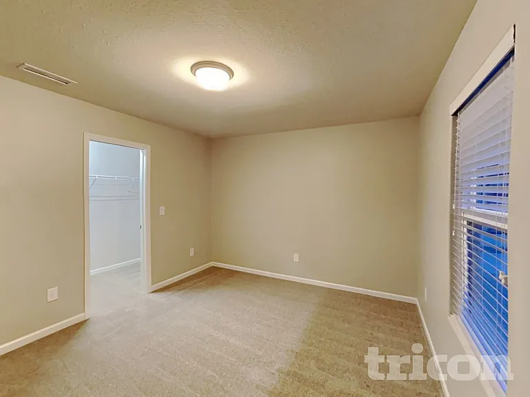 4217 Piedmont Farms Way — Photo 19