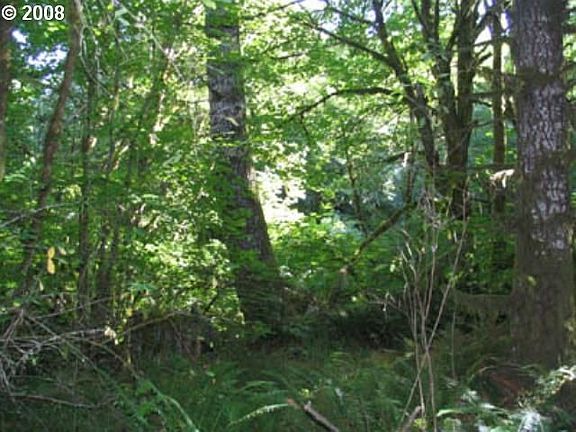 Your own little forest