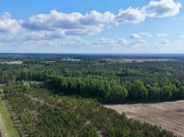 2 Oscar Tippins Rd, Baxley, GA 31513