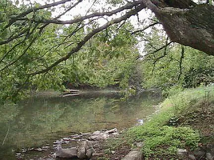 Welsh Run Rd — Photo 13