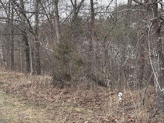 3rd image of LOT 184 Sleigh Dr