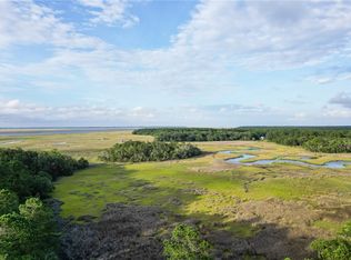 6 Tranquility Retreat Ln, Townsend, GA 31331