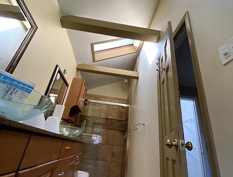 Two skylights in the master bathroom