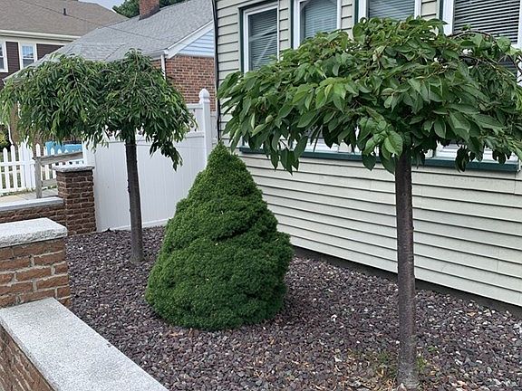 4th image of 87 Faywood Ave #2