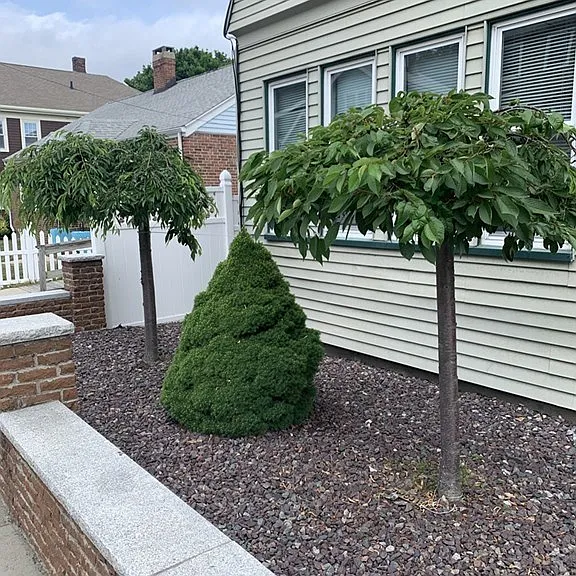 87 Faywood Ave — Photo 43