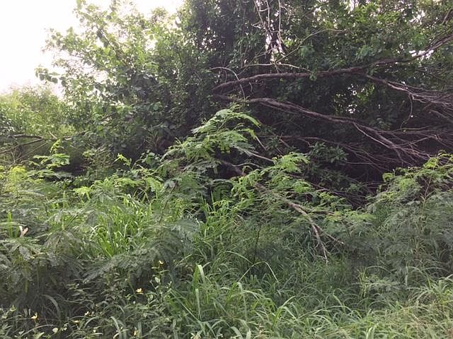 2nd image of 102 Mt. Pleasant Ea