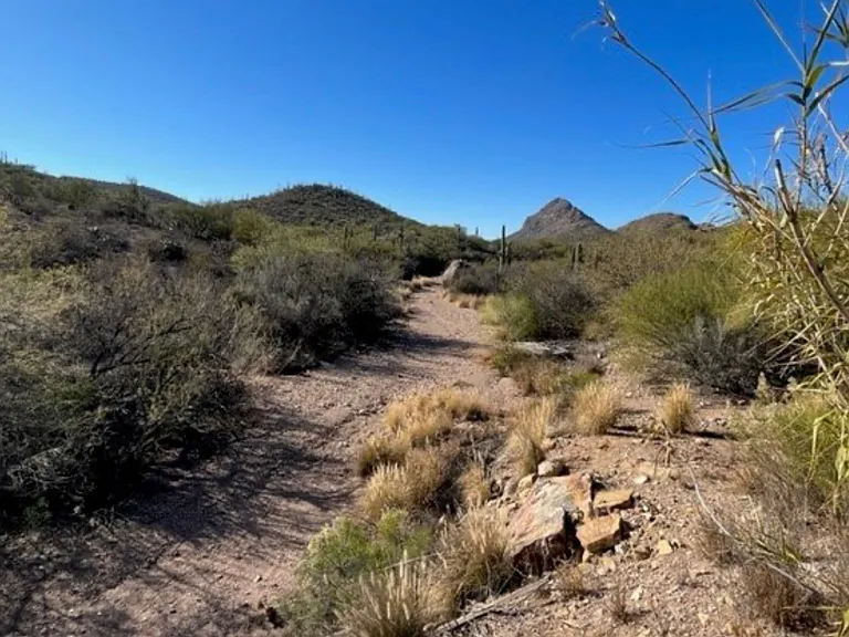 2851 W Old Ajo Way #1 — Photo 7