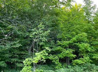 8281 Country Rd NE #12, Mancelona, MI 49659