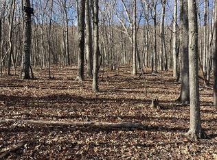 LOT 3 Falconwood Rd, Bloomery, WV 26817