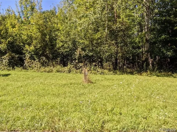 10602 Valone Ave #30, North Collins, NY 14111