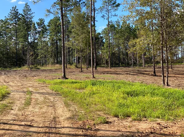 23 McBriar, Purvis, MS 39475