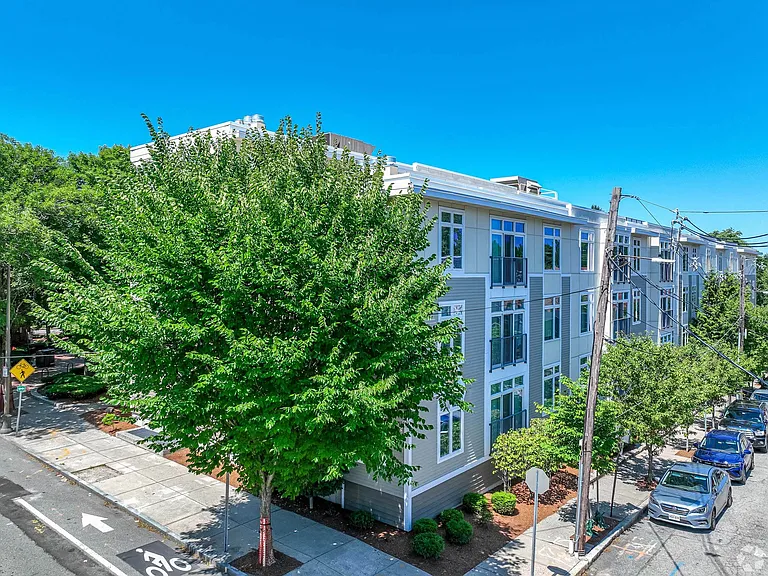 7 Cameron Apartments — Photo 8