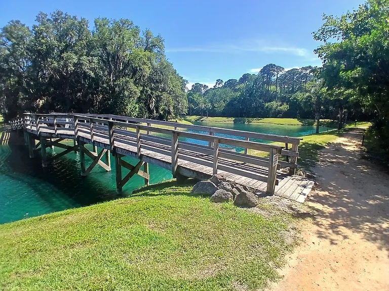 1330 Canopy Walk Ln — Photo 7