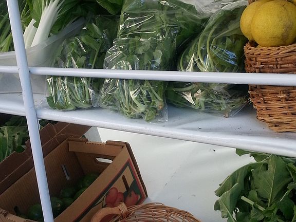 Two farmers markets nearby, Sarasota and Bradenton