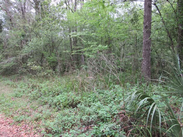 Manecke Rd, Brooksville, FL 34601