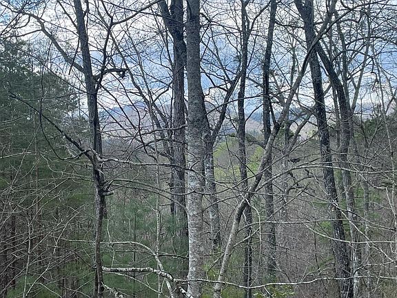 5th image of 58-1 Fontana Lake Dr