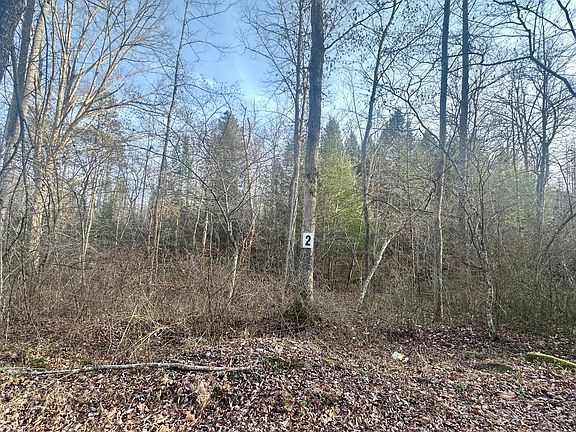 4th image of 2 Radford Rd