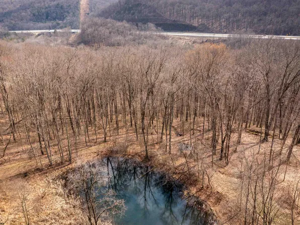 Coopers Rock Dr, Bruceton Mills, WV 26525