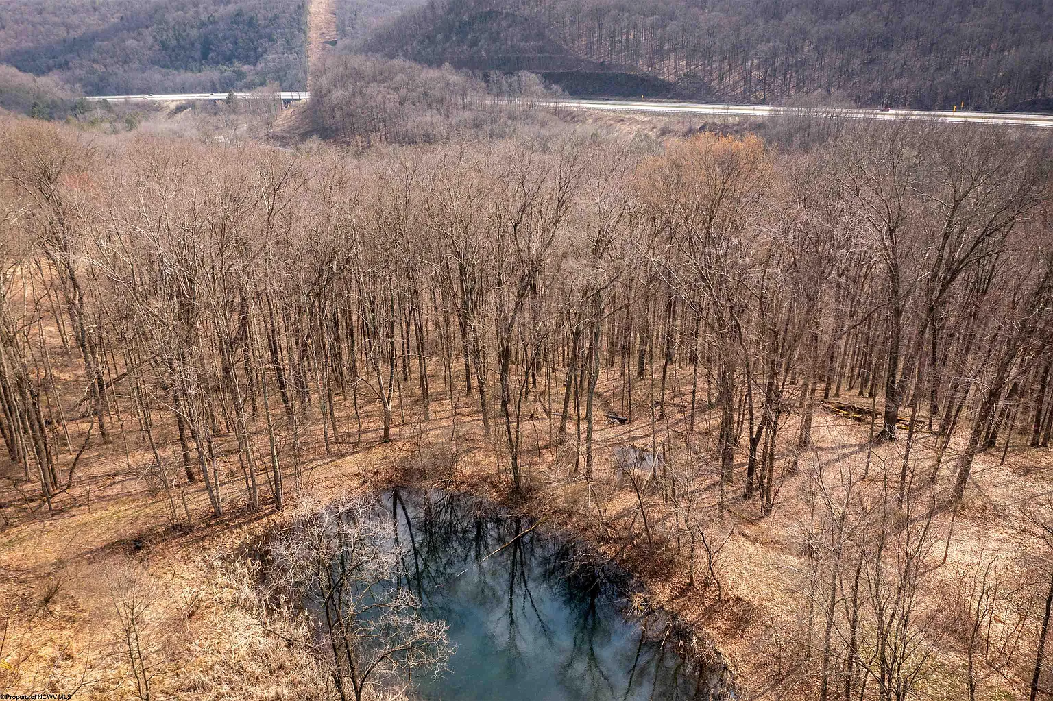 Coopers Rock Dr photo 1