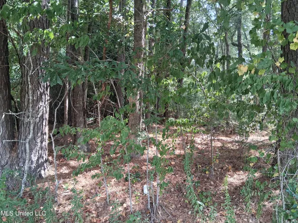 Cottonwood Dr Lot 85, Natchez, MS 39120