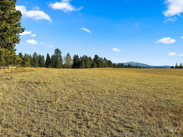 Nka Morrowtown Rd, Craigmont, ID 83523