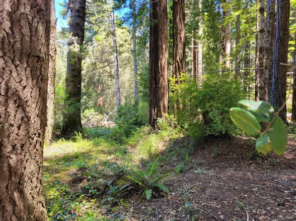 315 Chinquapin Lane, The Sea Ranch, CA 95497