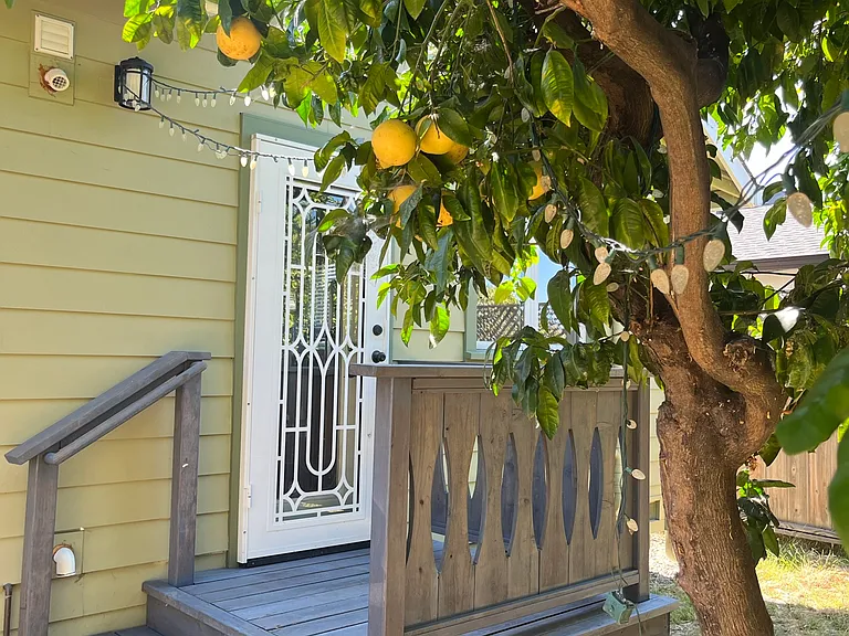 453 Ashton Ave — Photo 27
