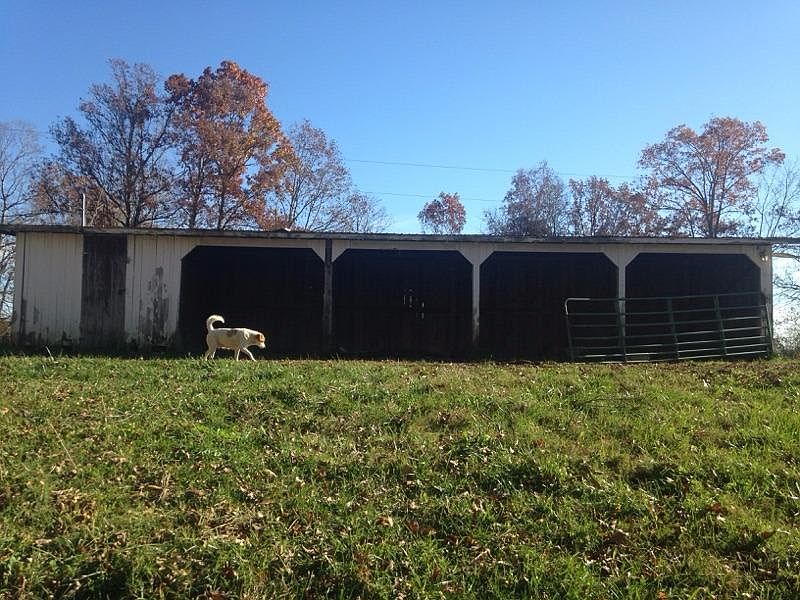 2nd image of 168 Patrick Rd