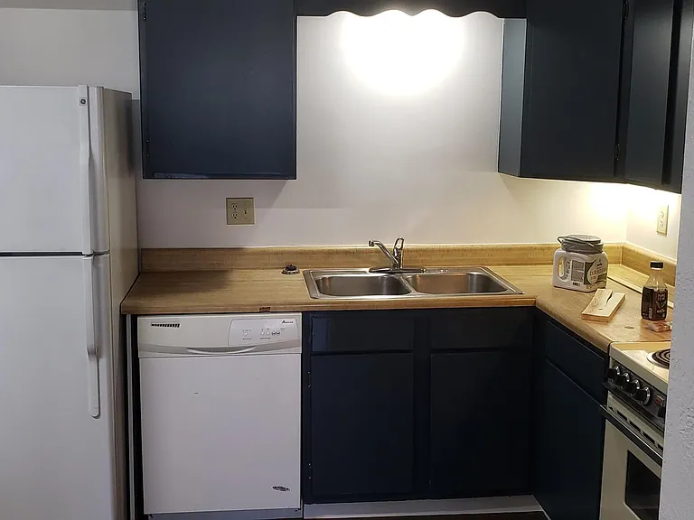 1217 W Chestnut St — Photo 2