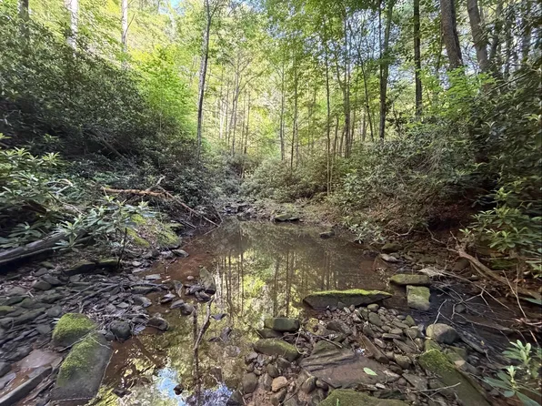 White Oak Creek Rd, Pound, VA 24279