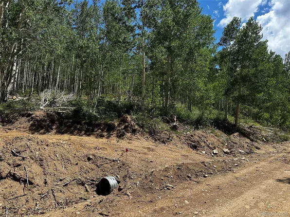 6188 Ryland Road LOT 6188, Fort Garland, CO 81133