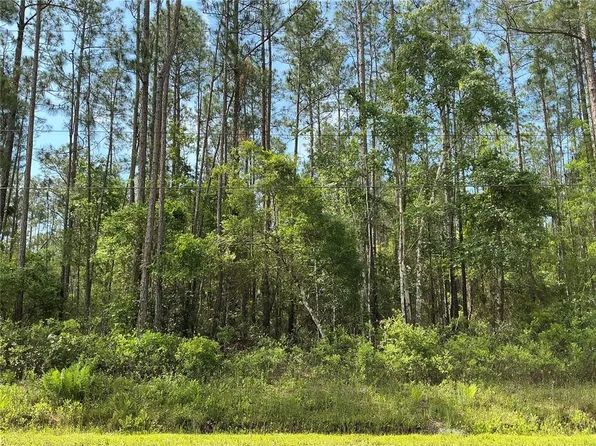 4425 Joyce St, Hastings, FL 32145
