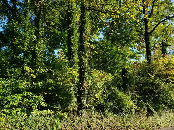 17 Saint NE Lot 2 & 3, Roanoke, VA 24012