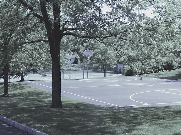 Basketball Court