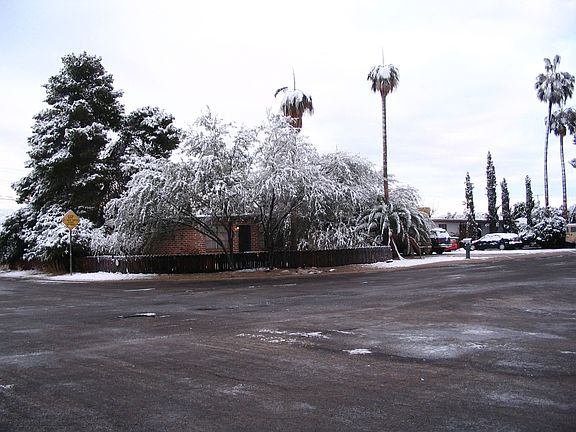 Snow in Tucson