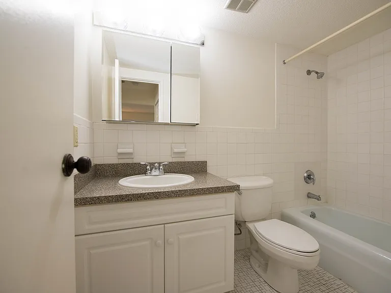 Chestnut Hill South — Photo 22
