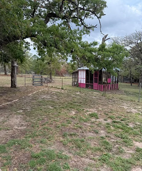131 Honey Tree Ln — Photo 19