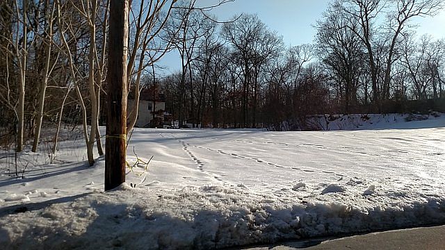 1st image of 110 Cedar Ln
