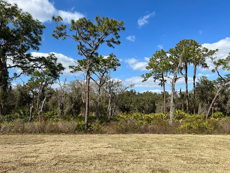 12961 Wildflower Meadow Dr — Photo 15