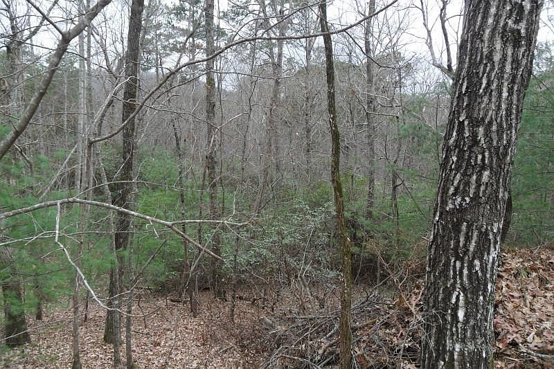 2nd image of 342 Golden Ln