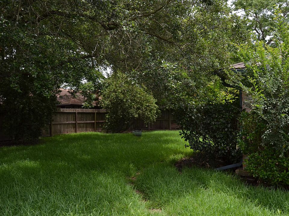 Beautiful backyard