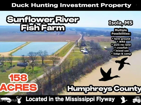 526 Cole Lake Rd, Isola, MS 38754